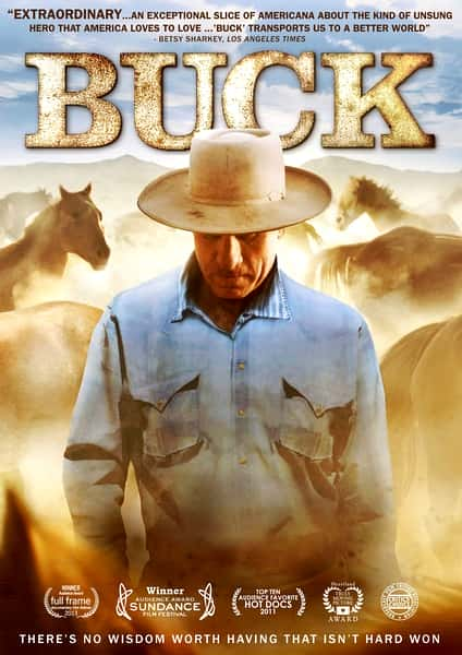 [BBC] Ϳ  / Buck-Ѹ