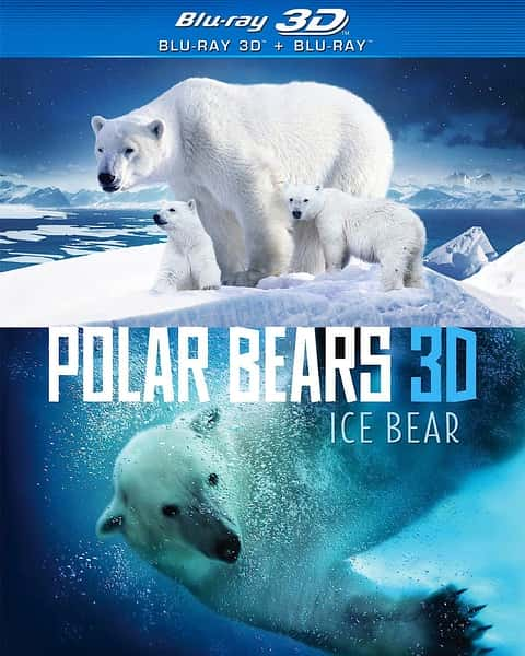 []  / Polar Bears Ice Bear-Ѹ