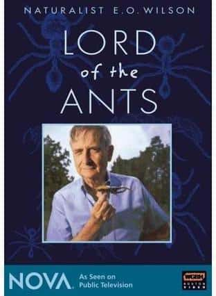 [PBS] ר / Lord of the Ants-Ѹ