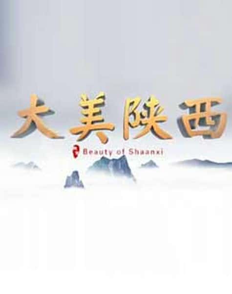 [其他] 大美陕西 / 大美陕西-纪录片资源1080P/720P/360P高清标清网盘迅雷下载