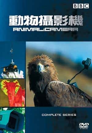 [BBC] 动物摄影机 / Animal Camera-纪录片资源1080P/720P/360P高清标清网盘迅雷下载