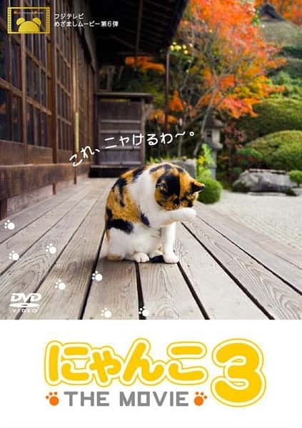 [NHK] 猫咪物语3 / にゃんこ THE MOVIE3-纪录片资源1080P/720P/360P高清标清网盘迅雷下载