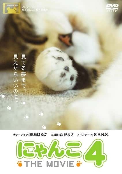 [NHK] 猫咪物语4 / にゃんこ THE MOVIE4-纪录片资源1080P/720P/360P高清标清网盘迅雷下载