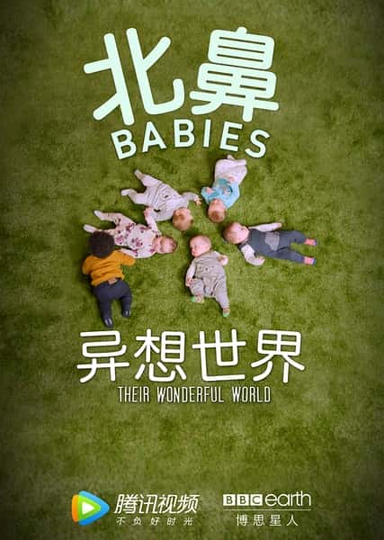 [其他] 北鼻异想世界 / The Wonderful World of Babies-纪录片资源1080P/720P/360P高清标清网盘迅雷下载