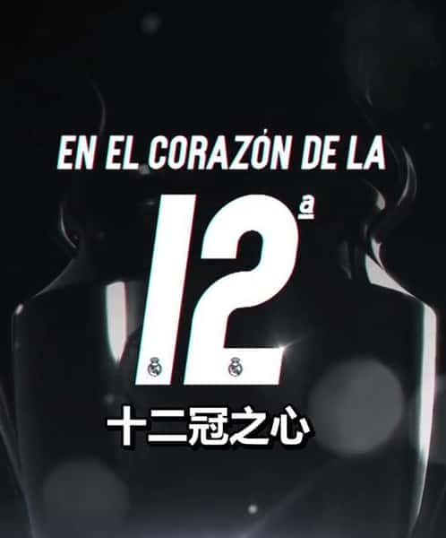 [其他] 十二冠之心 / En el corazón de la Duodécima-纪录片资源1080P/720P/360P高清标清网盘迅雷下载