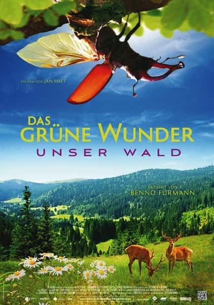 [其他] 大自然之舞 / Das grüne Wunder - Unser Wald-纪录片资源1080P/720P/360P高清标清网盘迅雷下载