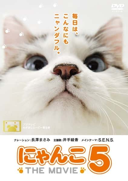 [NHK] 猫咪物语5 / THE MOVIE 5-纪录片资源1080P/720P/360P高清标清网盘迅雷下载