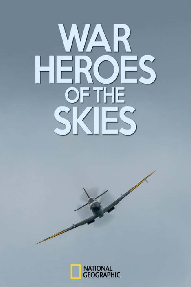 [国家地理] 空战英雄  / War Heroes of the Skies-纪录片资源1080P/720P/360P高清标清网盘迅雷下载
