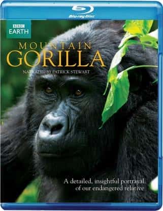 [BBC] 山地大猩猩 / Mountain Gorilla-纪录片资源1080P/720P/360P高清标清网盘迅雷下载