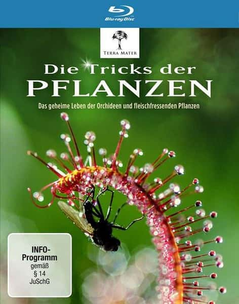 [其他] 植物的秘密武器 / 植物也坏坏/Die Tricks der Pflanzen-纪录片资源1080P/720P/360P高清标清网盘迅雷下载