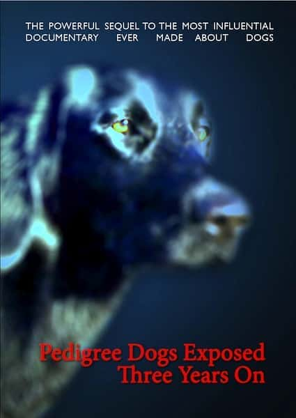 [BBC] 纯种狗的悲哀 / Pedigree Dogs Exposed-纪录片资源1080P/720P/360P高清标清网盘迅雷下载