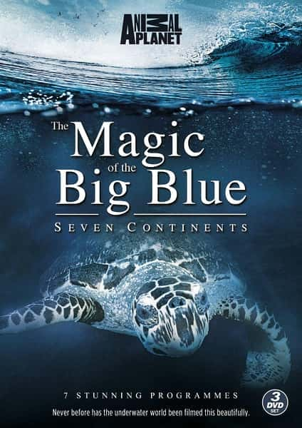 [Discovery] 奇幻蔚蓝海 / Magic of the Big Blue-纪录片资源1080P/720P/360P高清标清网盘迅雷下载