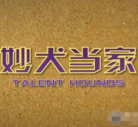 [其他] 妙犬当家 / Talent Hounds-纪录片资源1080P/720P/360P高清标清网盘迅雷下载