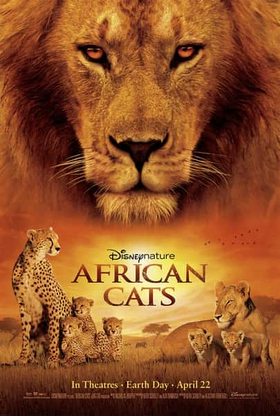 [Discovery] 非洲猫科 / African Cats-纪录片资源1080P/720P/360P高清标清网盘迅雷下载