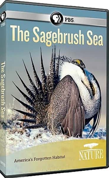 [PBS] 艾灌海洋 / The Sagebrush Sea-纪录片资源1080P/720P/360P高清标清网盘迅雷下载