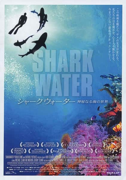 [其他] 鲨鱼海洋 / Sharkwater-纪录片资源1080P/720P/360P高清标清网盘迅雷下载