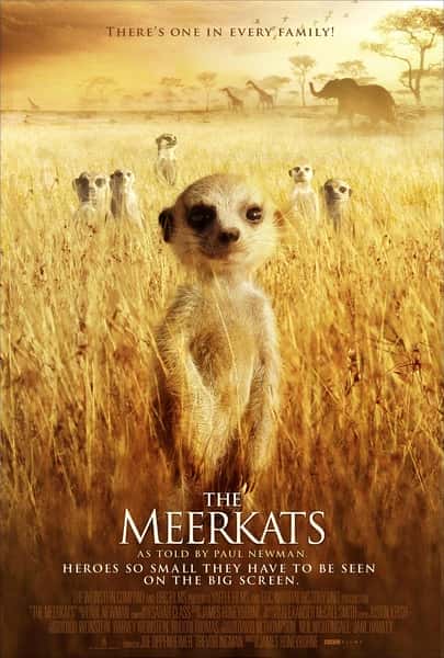 [BBC] 蒙哥 / The Meerkats-纪录片资源1080P/720P/360P高清标清网盘迅雷下载