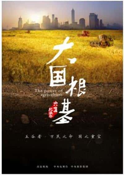 [CCTV] 大国根基 / 大国根基-纪录片资源1080P/720P/360P高清标清网盘迅雷下载