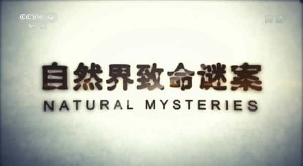 [BBC] 自然界致命谜案 / Natural Mysteries-纪录片资源1080P/720P/360P高清标清网盘迅雷下载