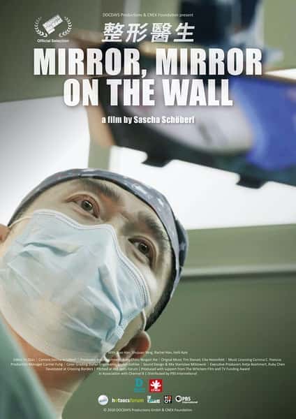 [其他] 整形医生 / Mirror, Mirror on the Wall-纪录片资源1080P/720P/360P高清标清网盘迅雷下载