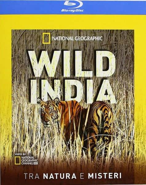 [国家地理] 狂野印度 / Secrets of Wild India / 野性印度的秘密-纪录片资源1080P/720P/360P高清标清网盘迅雷下载