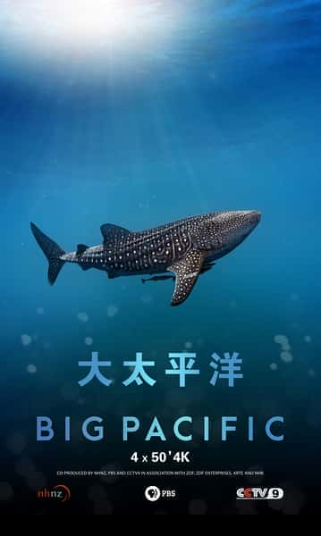 [CCTV] 大太平洋 / Big Pacific-纪录片资源1080P/720P/360P高清标清网盘迅雷下载