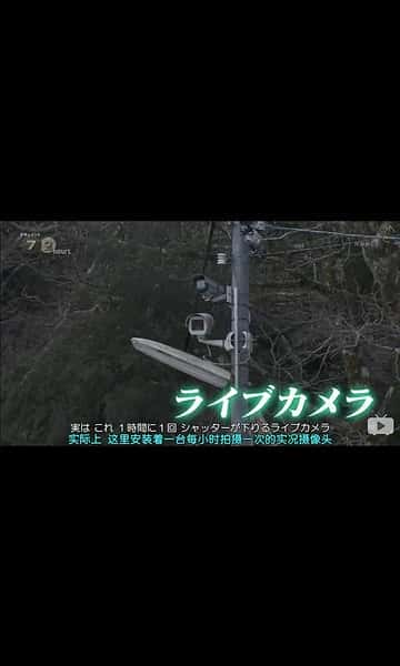 [NHK] 金刚山的实时摄像头 / 金剛山 ライブカメラの山頂で-纪录片资源1080P/720P/360P高清标清网盘迅雷下载