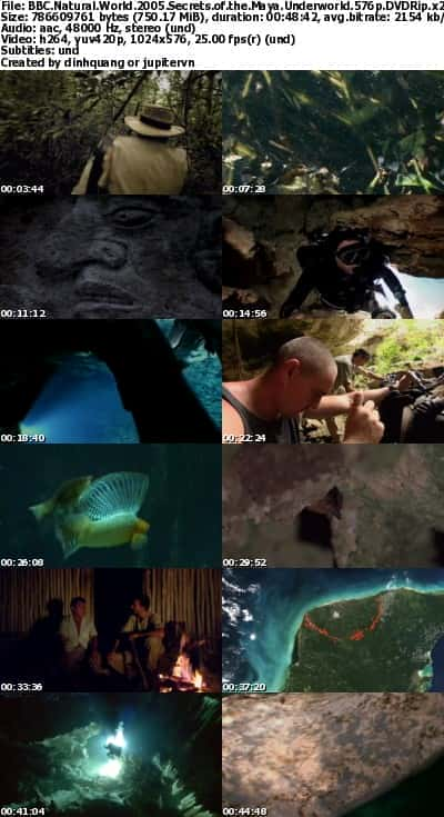 [BBC] 玛雅地下世界之谜 / Natural World: Secrets of the Maya Underworld-纪录片资源1080P/720P/360P高清标清网盘迅雷下载