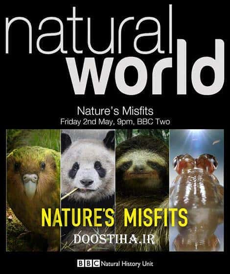 [BBC] 大自然里的奇怪动物 / Nature's Misfits-纪录片资源1080P/720P/360P高清标清网盘迅雷下载