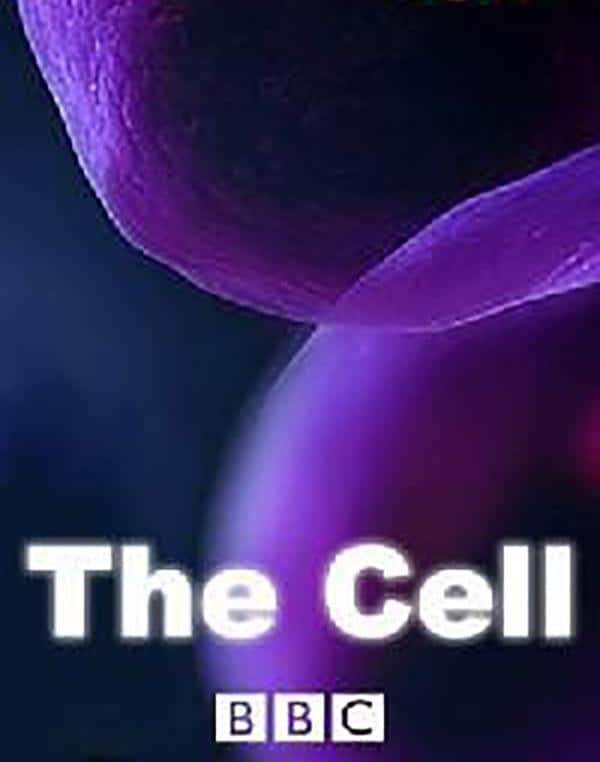 [BBC] ϸ / The Cell-Ѹ