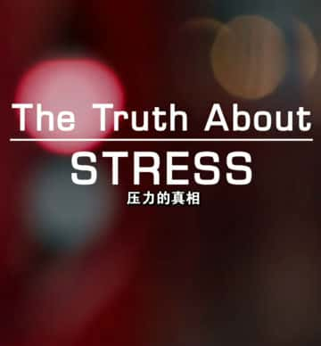 [BBC] ѹ / The Truth About Stress-Ѹ