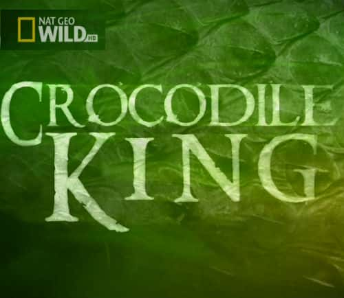 国家地理纪录片《鳄鱼之王 Crocodile King》全集[720P][有字幕][网盘]