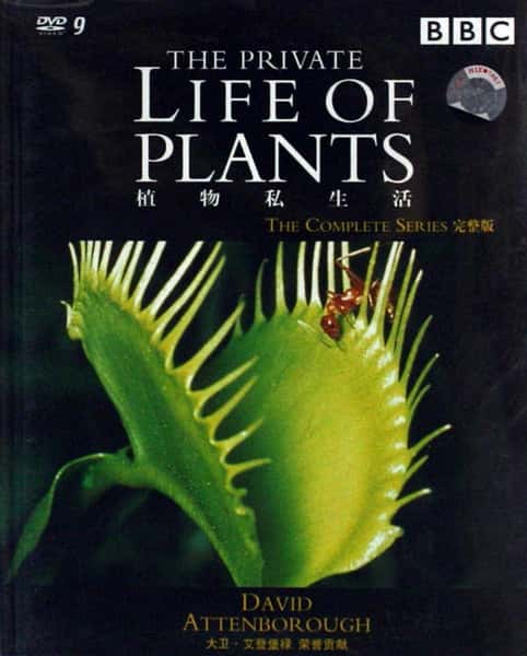 BBC纪录片《植物私生活 / The Private Life of Plants》全集-高清完整版网盘迅雷下载