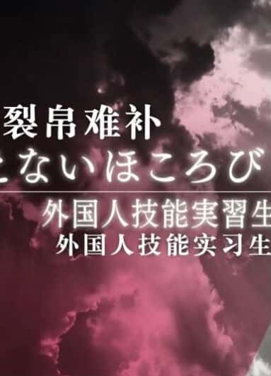 纪录片《裂帛难补 ~外国人技能实习生和纺织之乡~ 裂帛难补》全集[720P][有字幕][网盘]