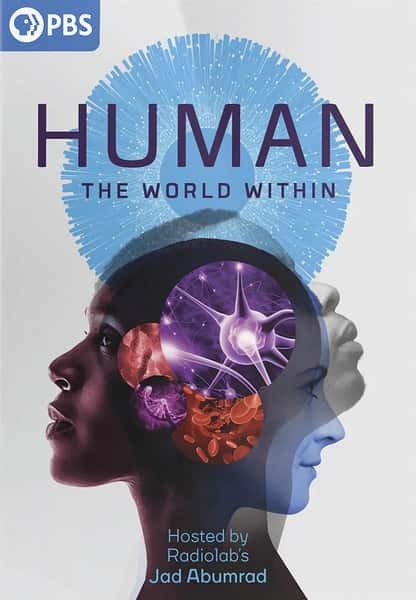 Netflix纪录片《人类：体内的世界 Human: The World Within》全集[720P][有字幕][网盘]