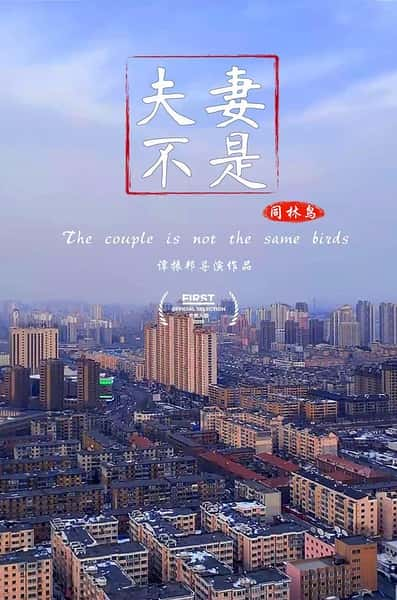 纪录片《夫妻不是同林鸟 The Couple Is Not the Same Birds》全集[720P][有字幕][网盘]