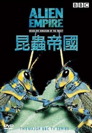 BBC纪录片《昆虫帝国 / Alien Empire》全集-高清完整版网盘迅雷下载