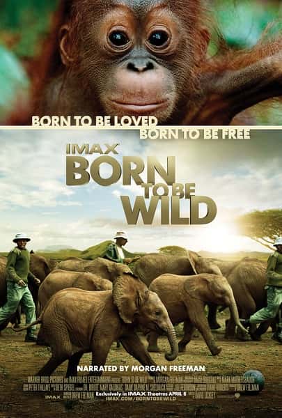 探索频道纪录片《天生狂野 / Born to Be Wild》全集-高清完整版网盘迅雷下载
