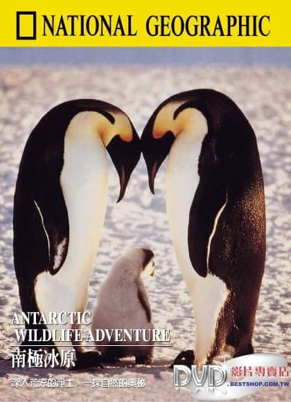 国家地理纪录片《南极冰原 / Antarctic Wildlife Adventure》全集-高清完整版网盘迅雷下载