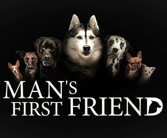 纪录片《人类第一个朋友 / Man's First Friend》全集-高清完整版网盘迅雷下载