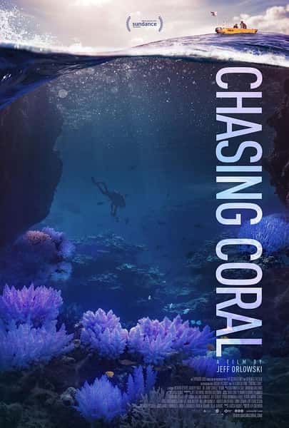 纪录片《追逐珊瑚 / Chasing Coral》全集-高清完整版网盘迅雷下载