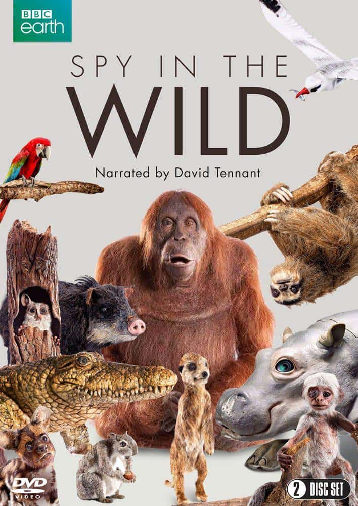 BBC纪录片《荒野间谍 第一季 Spy in the Wild Season 1》全集[1080P][720P][有字幕][网盘][BT]