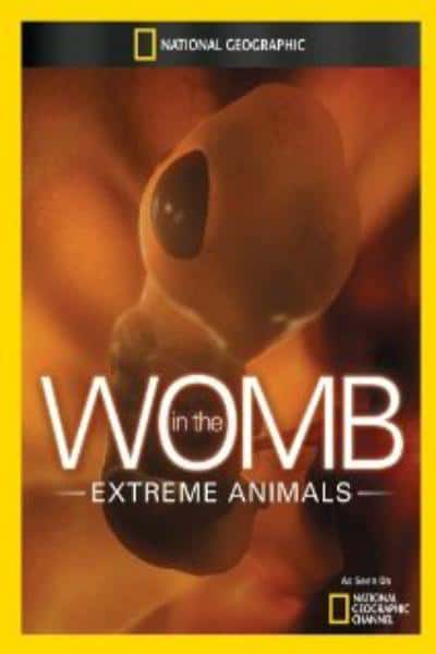 国家地理纪录片《子宫日记：极端动物 / In the Womb: Extreme Animals 》全集-高清完整版网盘迅雷下载