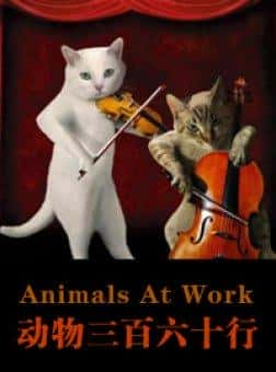 BBC纪录片《动物打工记 Animals at Work》全集[720P][有字幕][网盘]