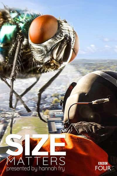 BBC纪录片《尺寸迷思 / Size Matters》全集-高清完整版网盘迅雷下载