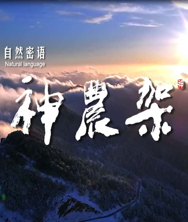 CCTV纪录片《自然密语：神农架 自然密语——神农架》全集[720P][有字幕][网盘]