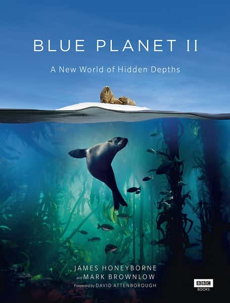 BBC纪录片《蓝色星球 2 Blue Planet II 全7集》全集[720P][有字幕][网盘]