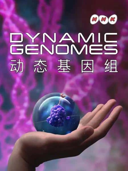 NHK纪录片《动态基因组 Dynamic Genomes》全集[720P][有字幕][网盘]