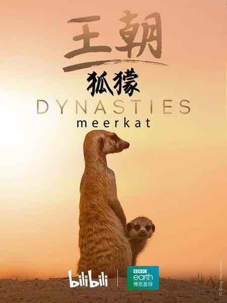 BBC纪录片《王朝：狐獴特辑 / Dynasties: Meerkat Special》全集-高清完整版网盘迅雷下载