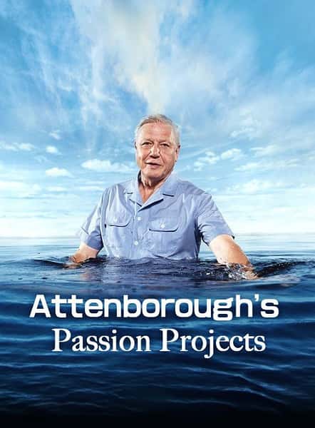 BBC纪录片《爱丁保罗爷爷的激情项目 / Attenborough's Passion Projects/爱登堡的兴趣项目》全集-高清完整版网盘迅雷下载